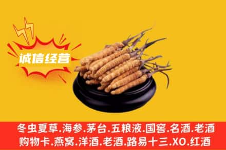 新乡封丘县回收冬虫夏草